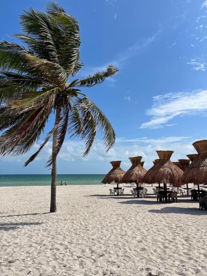 Itze Hostel Boutique - Progreso Прогресо Екстер'єр фото